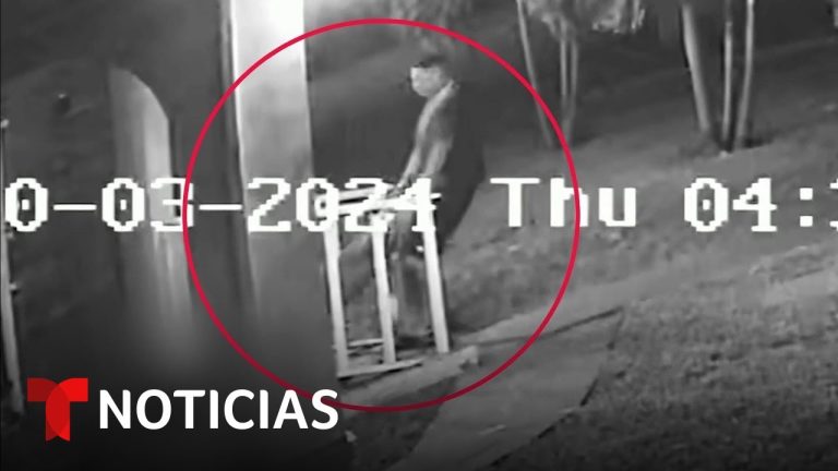 Las últimas noticias y actualizaciones