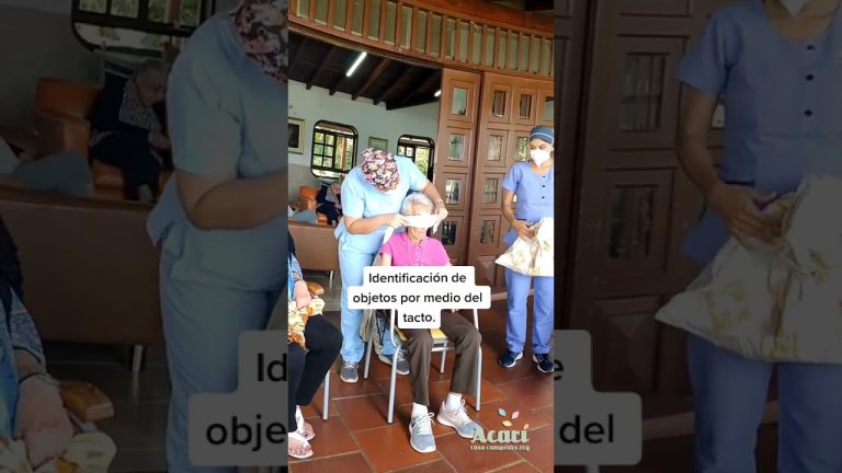 Actividades recreativas, culturales, excursiones y talleres para personas mayores en el primer trimestre del año