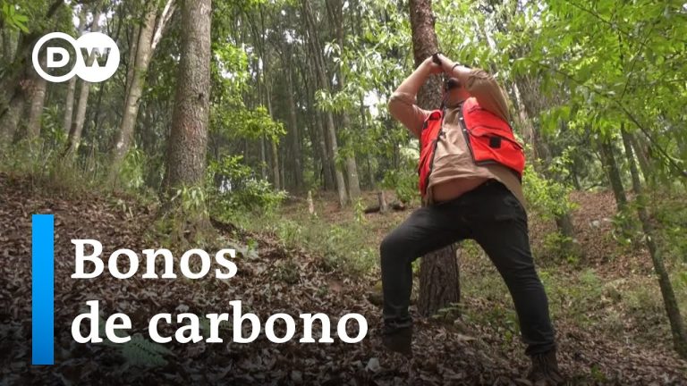 Analizan a individuos y compañías por emisiones de partículas de minas