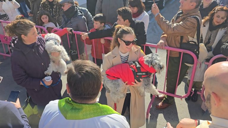 Ceremonia de bendición de mascotas en Benalmádena por San Antón