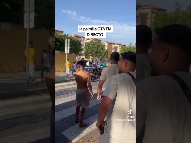 Exploran incidente con disparos sin heridos en Palma-Palmilla tras conflicto familiar